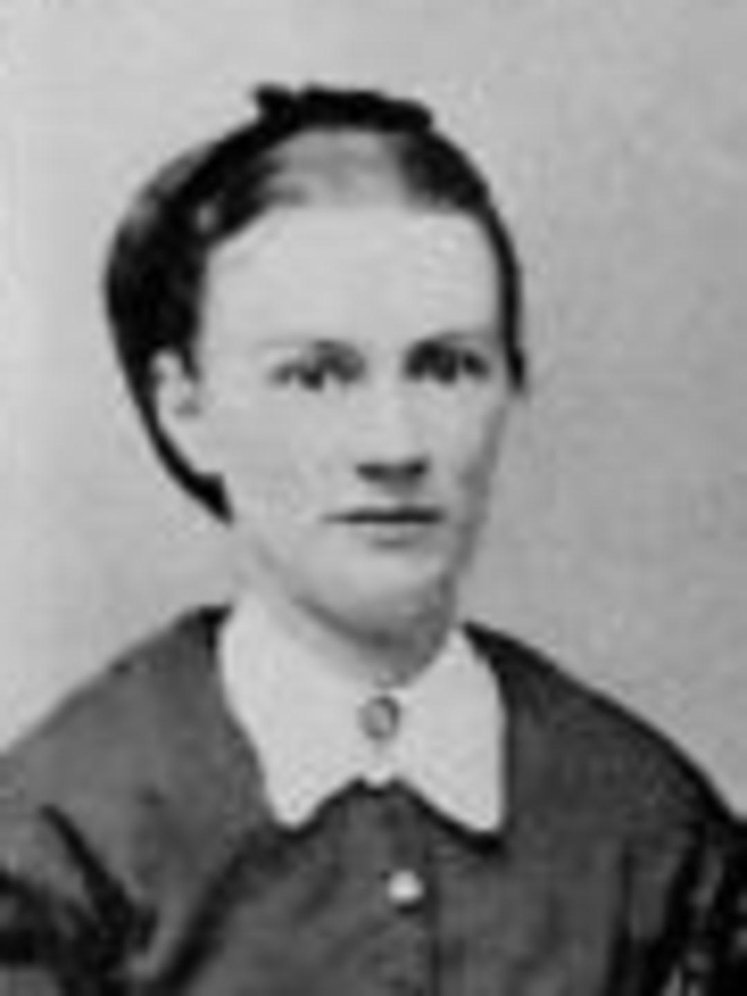 Sarah Ann Osguthorpe (1847 - 1930) Profile